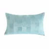 Oreiller Contmeporary Tissé Fashion Square Checks Case Light Skyblue Sofa Car El Home Chair Cover 18x18 "12x20" 1 Pc