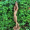 Decoratieve objecten Figurines Forest Godin Standbeeld Hars Tree God Sculpture Ornament Garden Crafts Creative Home Room Desk Decoration Accessories 230403