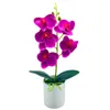Fleurs décoratives bonsaï artificiel fantaisie 5 têtes fausse fleur en soie romantique belle fausse orchidée faveurs de mariage
