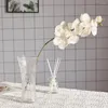 Fleurs décoratives Joli Faux Papillon Orchidée Couleur Vibrante Imitation Phalaenopsis Entretien Facile Real Touching DIY