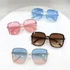 Sunglasses Rice Nail Square Round Face Ladies Anti-ultraviolet Wild Jelly Uv400