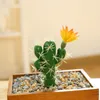 Decoratieve bloemen Multi -stijl kunstmatige sappige plant cactus groen bureaublad creatief nepbloembruiloft huisdecoratie planten