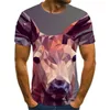 Men's T Shirts The Latest 2023 And Women's Children's Casual Sports T-shirt 3D Summer Comfortable Breathable Fashion Good-looking Top