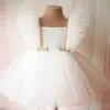 Girl S Dresses Baby Girl Dress 0 5y Princess Baby Baptism Lace Tutu Net Yarn Birthday Party 230331