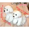 Bambole di peluche Bambole di cane ripiene maltesi Peluche Simpatici Simulazione Animali domestici Fluffy Baby Regali di compleanno Natale Bambini Malzis Puppy Drop 231102