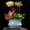 花瓶中国YIXING FLOWER POT HOME DECORATION RETRO CELADON VASE VASE INDOOR GREENERY LANDSCAPE TRAY