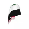 Foulards Palestine Femmes Sacrf Marque Cachemire Écharpe d'hiver Football Designer Couverture de printemps Dames Drop