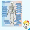 Barnutbildning Toy Science Game Assembled Human Body Skeleton Anatomy Organ Bones Kit Toys for Children
