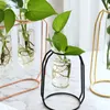 VASES NORDIC INS PLATING GOLD ROSE IRON ART TEST TUBE GLASS VASE FLOWER ARFILNAGE PLANT PLANT HYDROPONICS DECORATION