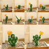 Decoratieve bloemen Multi -stijl kunstmatige sappige plant cactus groen bureaublad creatief nepbloembruiloft huisdecoratie planten