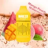 Orijinal Brezz Stiik BS7500 Puf E Sigara 80mg Tek Kullanımlık Vape Kalem 650mAh Şarj Edilebilir Pil 12% 5 kapasite 16ml. Juicy Peach Buz