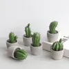 Decorative Flowers Plant Model Fashion Desktop Cactus Figure Display Mold Fine Craftsmanship Ornament