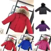 Enterres pour enfants, vêtements de créateurs en manteaux en veste veste vêne veste avec badge capot épais secours chaud fille garçon filles parkas classiques 100% wolf fur style rose bleu