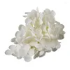 Fleurs décoratives pivoine artificielle fleur de soie bricolage hortensia Melaleuca grande tête mariage arc mur matériel