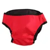 Hundkläder S-XL Liten stor fysiologiska byxor Diaper Sanitary Washable Female Underwear Shorts trosor PETS Valphundar