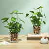 Fleurs décoratives 1 pc Vert Feuille Plantes Artificielles Avec Verre Bonsaï Simulation Trèfle Plante Maison Table Décor Bureau Bureau Décoration