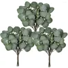 Decorative Flowers 29cm Artificial Eucalyptus 5pcs Branches With Fruit Money Leaves Nordic Simulation Plant