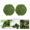 Decorações de jardim 2 pcs bola de musgo artificial casa bolas verdes naturais decorar tigela enchimento