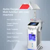 2024 Newest Skincare Facial Device 14 in 1 RF Face Elasticity Enhance Wrinkle Remove Skin Firming PDT Anti-bacteria Ultrasound Serum Introduce Machine