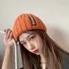 Hat Women's Autumn/Winter Korean Edition Versatile Fashion Long Label Woolen Hat Winter Net Red Warm Ear Protector Knitted Hat