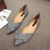 Flats Dress Fashion For Women Spring Summer Boat Pointed Teen Casual Slip On Shoes Elegant Ladies Footwear A