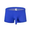 Underpants Boxershorts Men 2023 Men's Boxers Elephant Trunk Translucent Sexy Ice Silk Sleeves Pouch UnderwearUnderpants