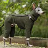 Vêtements pour chiens Mode Vêtements pour animaux de compagnie Hiver Col roulé Whippet Peluche Italien Greyhound Manteau Gree Bedlington Petite Veste Moyenne