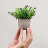 Dekorativa blommor mini konstgjorda växter krukut bonsai litet träd grönt gräs för hem trädgård sovrum dekoration falskt blommor kontor