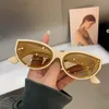 Lunettes de soleil œil de chat ovale personnalisé Vintage mode tendance femme nuances marque lunettes de créateur pour dames