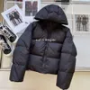 Vestes de créateurs pour femmes, parkas à capuche, vêtements pour hommes, vestes pour femmes, vestes à fermeture éclair, sweat-shirts chauds, manteaux de couple, manteaux d'hiver alphabet, survêtements noirs