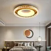 Plafonniers LED lumière ronde salon chambre cuisine luminaires avec télécommande Surface décorative
