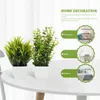 Decoratieve bloemen neppot kunstmatige bonsai faux bloem decor mini badkamer pot grealery realistische potten eucalyptus varen varen plastic