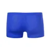 Underpants Boxershorts Men 2023 Men's Boxers Elephant Trunk Translucent Sexy Ice Silk Sleeves Pouch UnderwearUnderpants