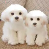 Bambole di peluche Bambole di cane ripiene maltesi Peluche Simpatici Simulazione Animali domestici Fluffy Baby Regali di compleanno Natale Bambini Malzis Puppy Drop 231102