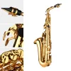 Eb Alto Saxophone Brass Lacquered Gold E Flat Alto Sax Woodwind Instrument with Carry Bag Gloves Straps Brush of Sax Accessories