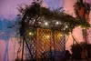 Hög och låg spänningsljussträng utomhusvattentät sträng Ljus E26 Utomhusljus Strip Wedding Decoration Festival Lights (7,4 m)