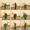 Decoratieve bloemen Multi -stijl kunstmatige sappige plant cactus groen bureaublad creatief nepbloembruiloft huisdecoratie planten