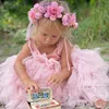 Girl's Dresses Spring Little Girls Flower Lace Princess Dress Party Dresses Children Holiday Mesh Tutu Dress Kids Long Sleeve Casual Clothing 230403