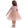 Girl's Dresses Spring Little Girls Flower Lace Princess Dress Party Dresses Children Holiday Mesh Tutu Dress Kids Long Sleeve Casual Clothing 230403