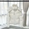 Designer Femmes Doudounes Parka Amis Amies Puffer Veste À Capuchon Premium Casual Extérieur Hiver Chaud Épaissi Zipper Manteaux Mâle Couple Veste