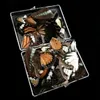 Dekoratif Nesneler Figürinler 50pcs Set Gerçek Doğal Örnekler Kelebek Kanatları DIY Mücevher Sanat Örneği Sanat El Zanaat 230403