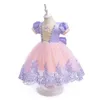 Dancewear FOCUSNORM 0 6 Jahre Prinzessin Kinder Mädchen Partykleid Kurze Puffärmel Spitze Tüll Mesh Patchwork Tutu mit Schleife 231110