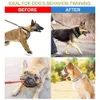 Dog Collars Leashes No Pull Nylon Cover Prong Training Pinch with Comfort Tip and Quick Release Buckle for All Sizes s Pets 230403