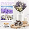 Dekorative Blumen getrockneter Lavendel Vergissmeinnicht natürlicher Trockenstrauß für Vase Home Decor Hochzeit Party Geschenke Blumenarrangement DIY Basteln