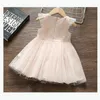 Girl's Dresses Summer Baby Girl Cute Dress Girl Fashion Flower Embroidery Dress Girl Pink Dress Prink Gauze Dress Kids Birthday Party Dress 230403