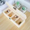 Jewelry Pouches Necklace Ring Earring Organizer Boxes Nature Wooden Storage Case Event Display Stands