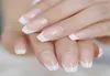 White Line Natural French Ballerina Coffin False Nails Shiny Uv Gel Medium Press On Fingernails 24 Ct5250161