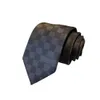 Cravate de créateur pour hommes, nœud papillon à la mode, cravate d'affaires décontractée, haut de luxe en soie