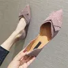 Flats Dress Fashion For Women Spring Summer Boat Pointed Teen Casual Slip On Shoes Elegant Ladies Footwear A