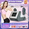 Andere Schönheitsgeräte DLS EMS Body Sculpting Emszero Neo Body Sliming Muscle Stimulate Fat Removal 5500W Build Muscle Machine